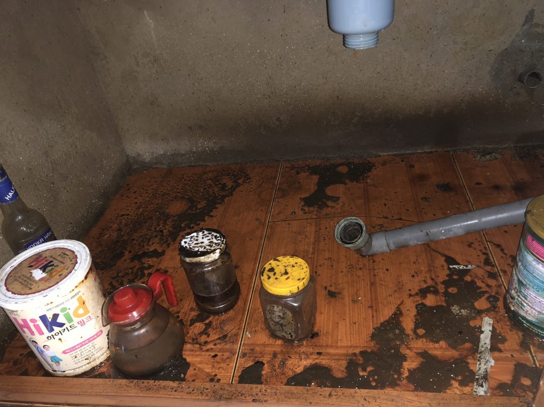 Công Ty TNHH Tập Đoàn Kiến Thợ