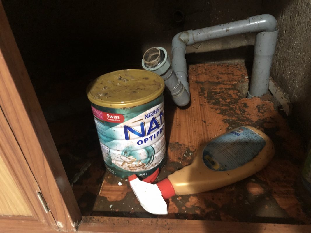 Công Ty TNHH Tập Đoàn Kiến Thợ