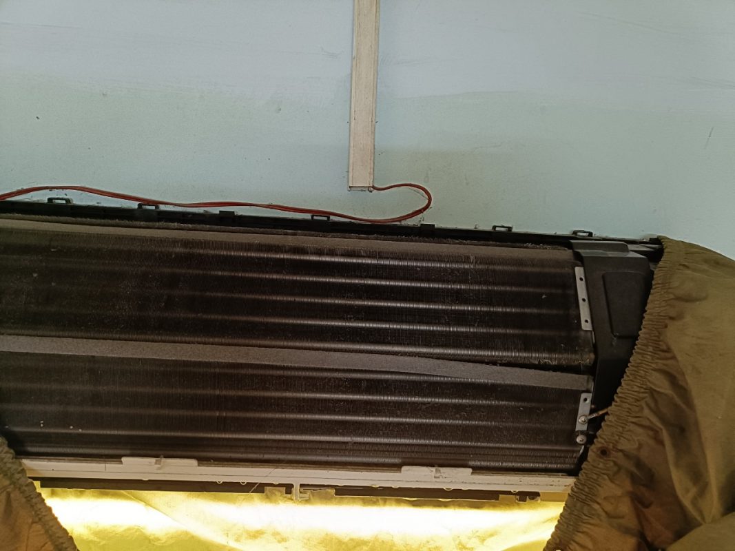 Công Ty TNHH Tập Đoàn Kiến Thợ