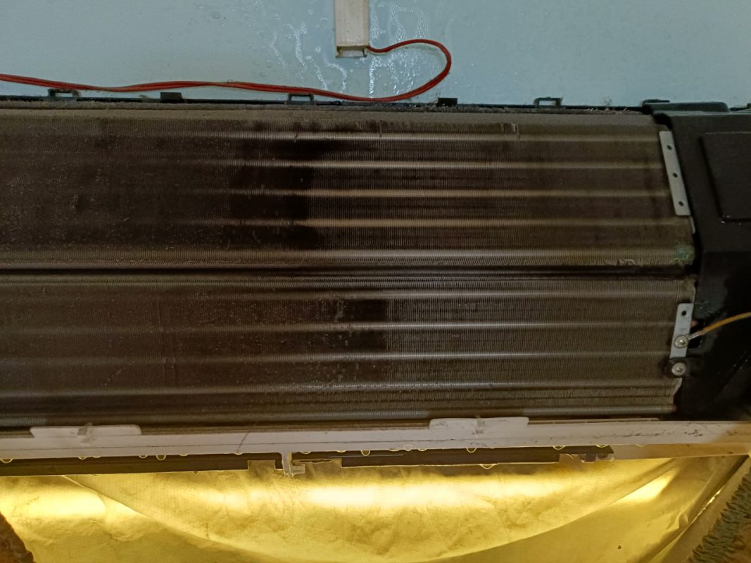 Công Ty TNHH Tập Đoàn Kiến Thợ