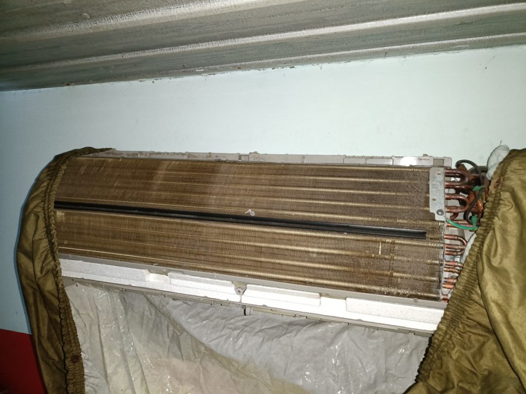 Công Ty TNHH Tập Đoàn Kiến Thợ