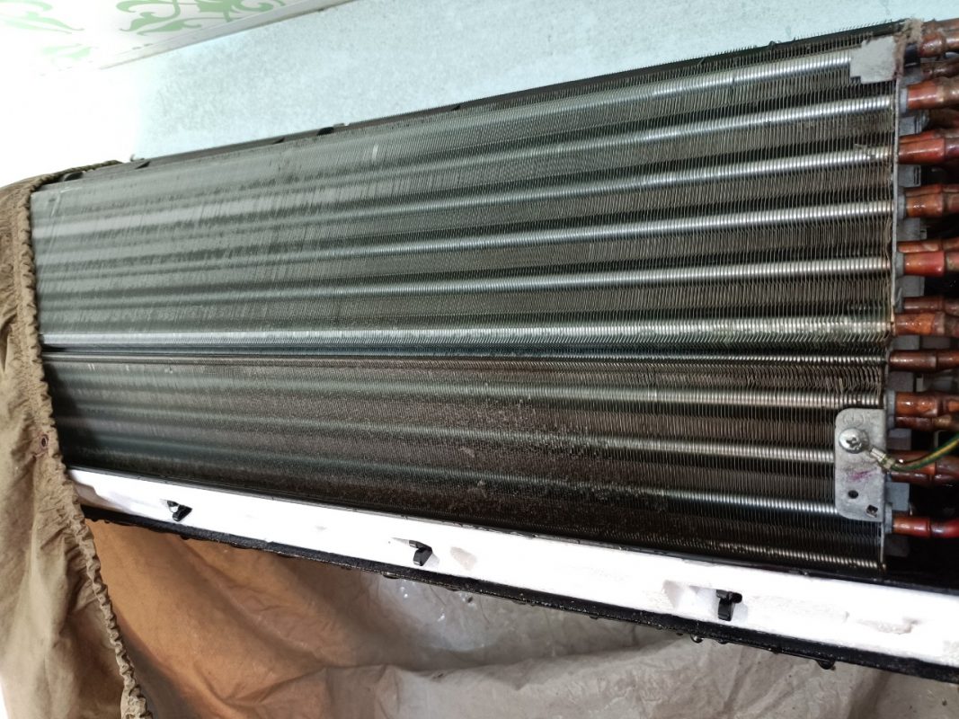 Công Ty TNHH Tập Đoàn Kiến Thợ