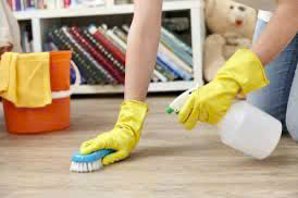 Công Ty TNHH Tập Đoàn Kiến Thợ